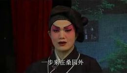 祁剧《四仙姑下凡》全本戏曲资源下载,高清MP3/MP4格式,湖南经典祁剧在线获取 祁剧《四仙姑下凡》全本戏曲资源下载,高清MP3/MP4格式,湖南经典祁剧在线获取