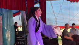 滑稽扬剧《大小老婆》庞菲（飞哥）演唱视频MP4/MP3下载 - 正版戏曲资源下载