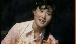 奇婚记