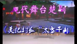 莫把村长太当干部