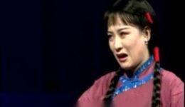 评剧《小女婿》韩少云音配像戏曲视频MP4/MP3资源下载，经典唱段全收录下载