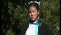 张万郎讨饭3