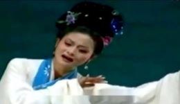 锡剧《夜明珠·十六岁花样年华》程雪梅演唱，高清MP4/MP3戏曲资源下载