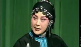 秦腔经典《三娘教子》全折下载，王玉琴领衔主演，完整演绎传统孝道故事下载