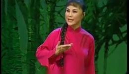 秦腔名家李娟个人演唱专辑11段戏曲视频MP4/MP3下载 秦腔名家李娟个人演唱专辑11段戏曲视频MP4/MP3下载