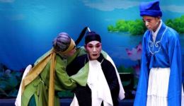 荆州花鼓戏《秦雪梅·商林归天》胡新中答沙演绎经典，高清戏曲MP4/MP3资源下载下载