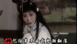窦娥冤·托梦