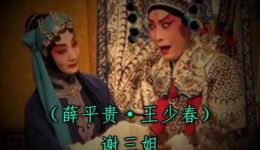 1984年淮剧《王宝钏-寒窑别》王少春张红英主演mp3/mp4戏曲下载