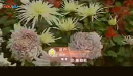 满妹子要出嫁