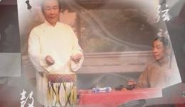 樊金定骂城
