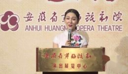 孔雀西北飞 · 婆媳生活