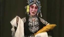 京剧《二进宫》吴钰璋张学津杨淑蕊名家经典片段，戏曲视频MP4/MP3资源下载下载