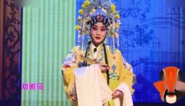 蒲剧《打金枝》选段在线下载 贾菊兰经典演唱 委婉动听戏曲资源