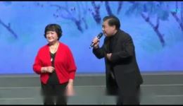 秋海棠