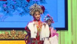 黄梅戏《打金枝 · 打枝》全场高清MP4/MP3下载，吴亚玲蒋建国主演经典戏曲资源下载