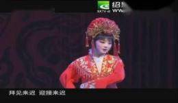 越剧《花为媒》双洞房高清戏曲视频下载，陈飞金静主演，经典越剧全场戏资源下载