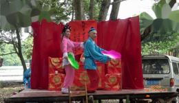 八仙拜寿