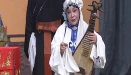 淮剧《琵琶寿》全剧视频下载 马秀英张留根主演 经典淮剧MP4/MP3资源下载