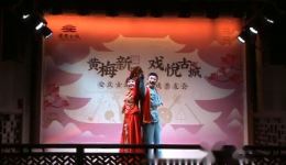 黄梅戏《闹花灯》李凌王长中演唱，戏曲视频MP4/MP3下载资源全收录下载