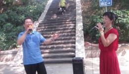 赣南采茶戏《榕树底下一朵花》MP4/MP3高清下载 正版戏曲资源一键获取