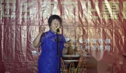 西河大鼓《十不足》邢金枝演唱 MP4/MP3视频音频资源免费下载