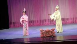 锡剧《游庵定情》陆新宇吴晨表演MP4视频下载，26分钟经典戏曲资源下载