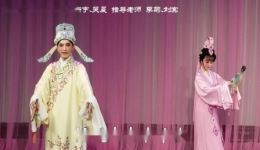 锡剧《游庵定情》陆新宇吴晨主演MP4/MP3视频音频资源下载 - 经典戏曲全集下载下载