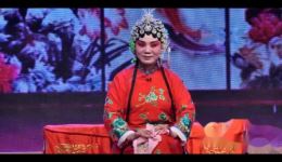 深泽坠子《大宋金鸠记》张晓红演唱经典片段,精彩剧情在线下载 深泽坠子《大宋金鸠记》张晓红演唱经典片段,精彩剧情在线下载