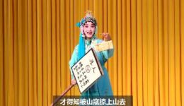 扬剧《失子惊疯》字幕版MP4下载 - 赵悦、薛萍精彩演绎戏曲视频下载