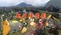 重台别新编