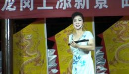 河南坠子《火烧博望》侯红莲演唱戏曲视频MP4下载，国家二级演员经典演绎下载