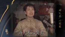 李维康京剧《恩仇恋》选段MP4下载，经典现代戏戏曲资源在线获取下载