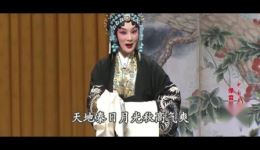 大保国 探皇陵 二进宫