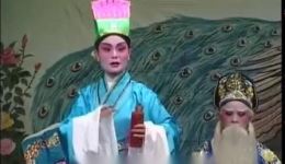 广东海丰白字戏《梁祝十八相送》上集MP4下载，经典戏曲资源一键获取