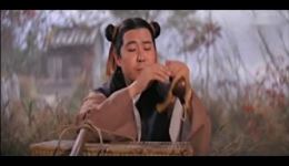 梁山伯访友