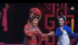 滇剧《水莽草》高清MP4视频下载 冯咏梅主演 玉溪市滇剧院经典剧目在线获取