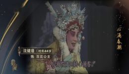 沈健瑾京剧《百花赠剑》选段下载，经典名家名段MP4视频资源