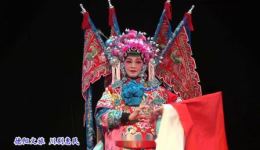 穆桂英打雁