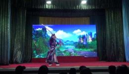 永年西调《八郎刺萧 杀宫》晋城市望头村演出实况，经典戏曲资源下载