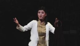 江城飞絮