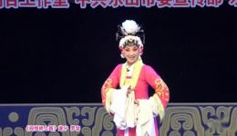 阎惜娇上路