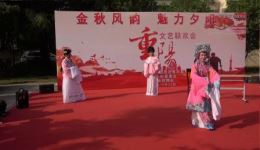打金枝闯宫