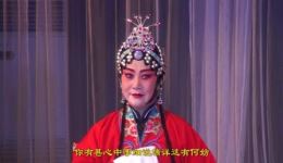 朱砂痣