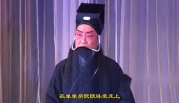 朱砂痣