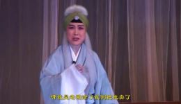 朱砂痣