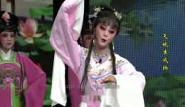 莆仙戏《天地生成物》中集MP4视频下载 - 正版高清戏曲资源