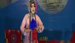 川剧高腔《双瓶醋》高清下载｜罗兰李蓉赵丽主演，传统戏曲精彩呈现下载