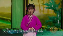 黄梅戏《打猪草》片段下载 - 吴琼盖学泉演唱MP4视频资源