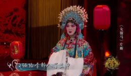 黄梅戏《女驸马》吴琼吴亚玲经典片段mp4下载，冯素贞冒名救夫传奇剧情全收录下载