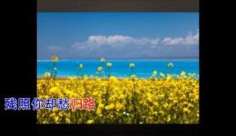 粤剧《洒泪别长亭》彭炽权郑培英演唱戏曲视频MP4高清下载